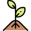 Ecology and environment