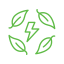 Ecology and environment