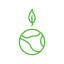 Ecology and environment