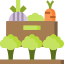 Ecology and environment