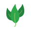 Ecology and environment