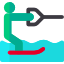 Water ski