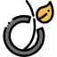 Viadeo
