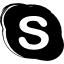 Skype logo