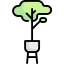 Ecology and environment