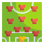 Formation