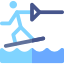 Water ski