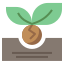 Ecology and environment