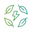 Ecology and environment