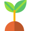 Ecology and environment