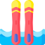 Water skiing