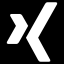 Xing logo