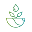 Ecology and environment