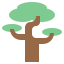 Ecology and environment