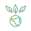 Ecology and environment