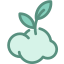 Ecology and environment