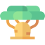 Baobab