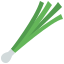 Spring onion