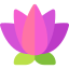 Lotus flower