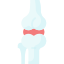 Joint
