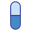 Capsule
