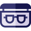 Eye glasses