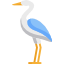 Stork