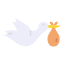 Stork