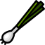 Spring onion