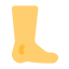 Foot