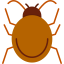 Bug