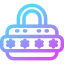 Password