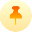 Pin