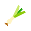 Spring onion