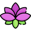 Цветок лотоса