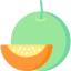 Melon