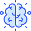 Brain