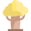 Baobab