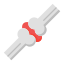 Joint