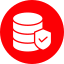 Database