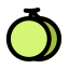 Melon