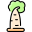 Baobab