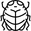 Bug