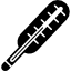 Thermometer