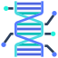 Dna