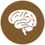 Brain