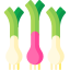 Spring onion