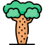 Baobab