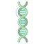 Dna