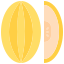 Melon